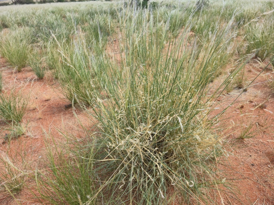 Commercial Property for Sale in Upington Rural Northern Cape